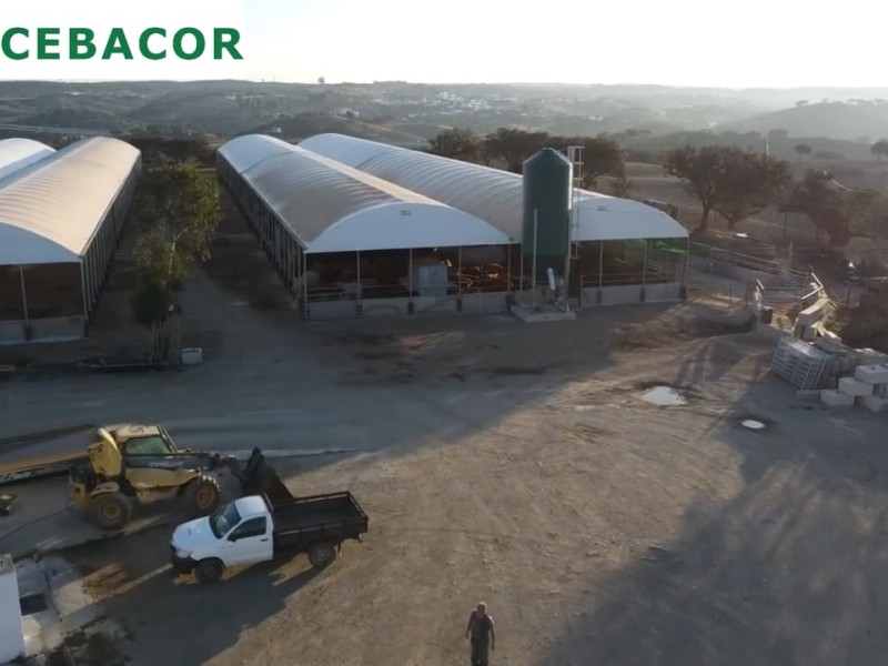 cebacor facilities in portugal cebacor facilities in portugal