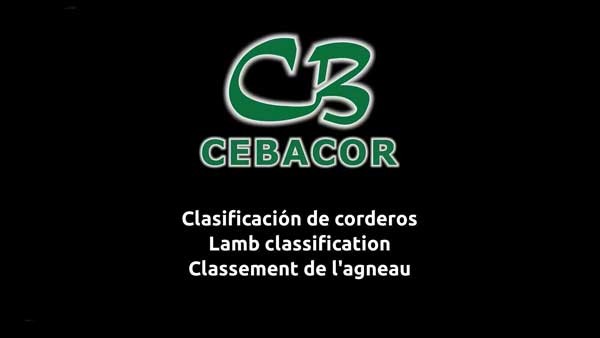 portada clasificacion portada clasificacion