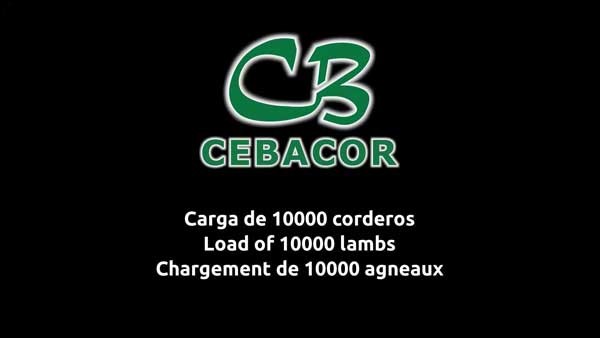 portada corderos 10000 portada corderos 10000