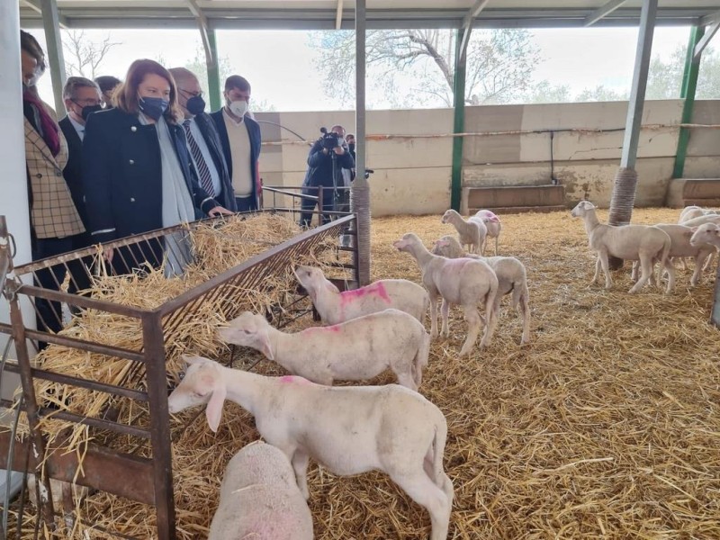 fotos visita politicos   fotos visita politicos