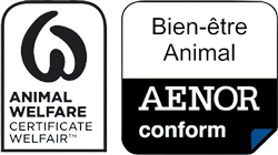 logotipo welfair aenor