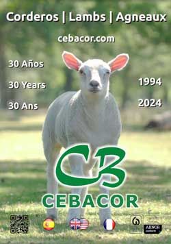 foto de portada catálogo pdf de cebacor.com