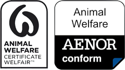 logo welfair aenor