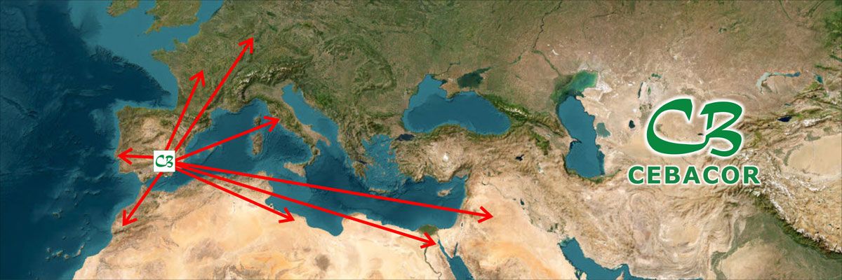 foto de mapa del mundo con flechas de mercados cebacor