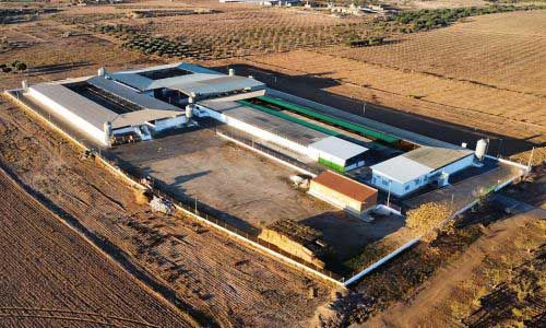 foto de instalaciones cebacor en fuente álamo de murcia